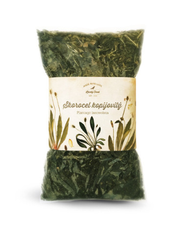 Skorocel kopijovitý 100g